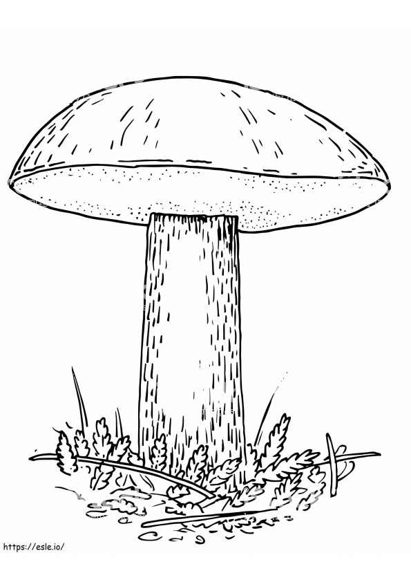 Mushroom 2 coloring page