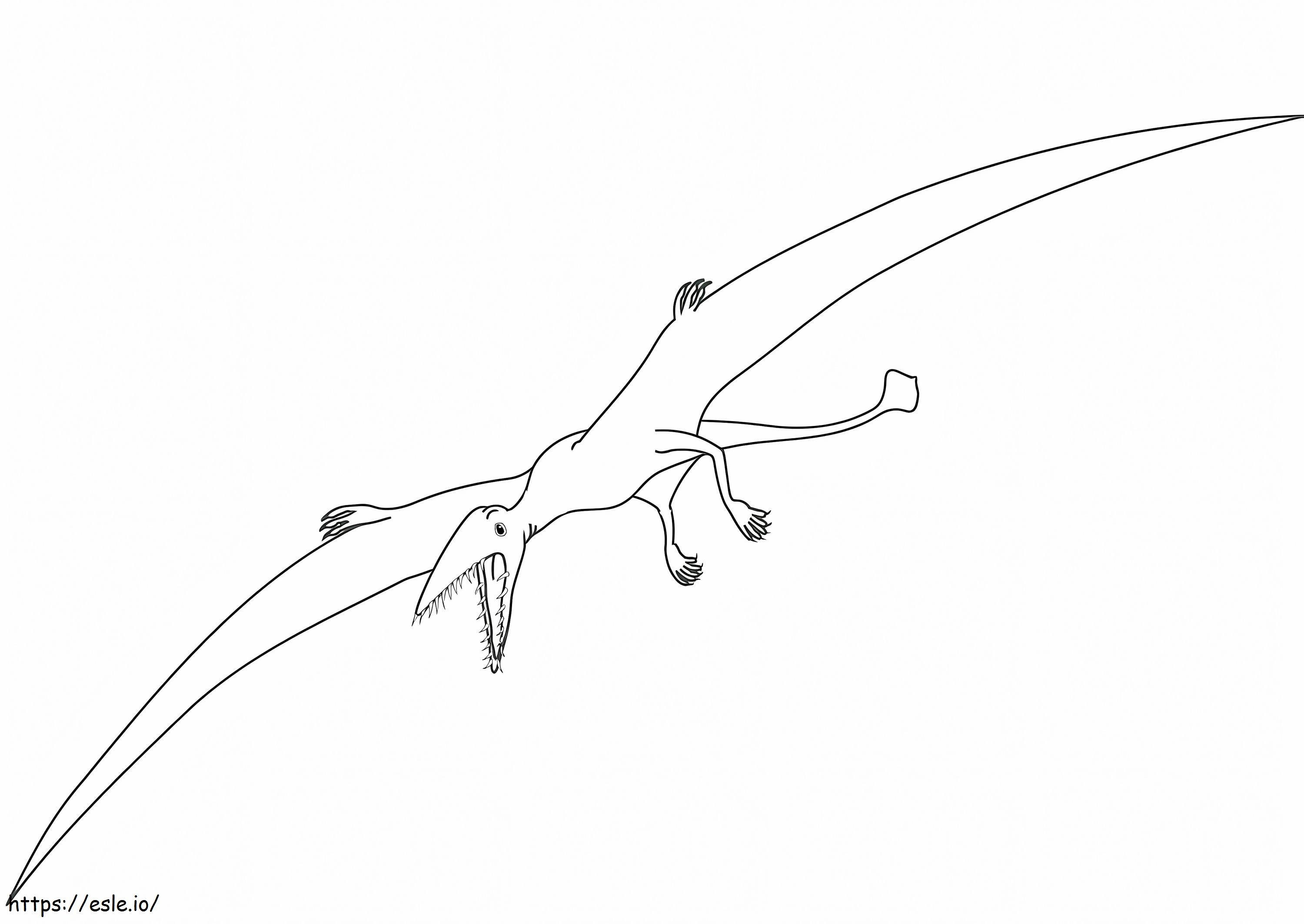 Dinozaurul Pterodactil de colorat