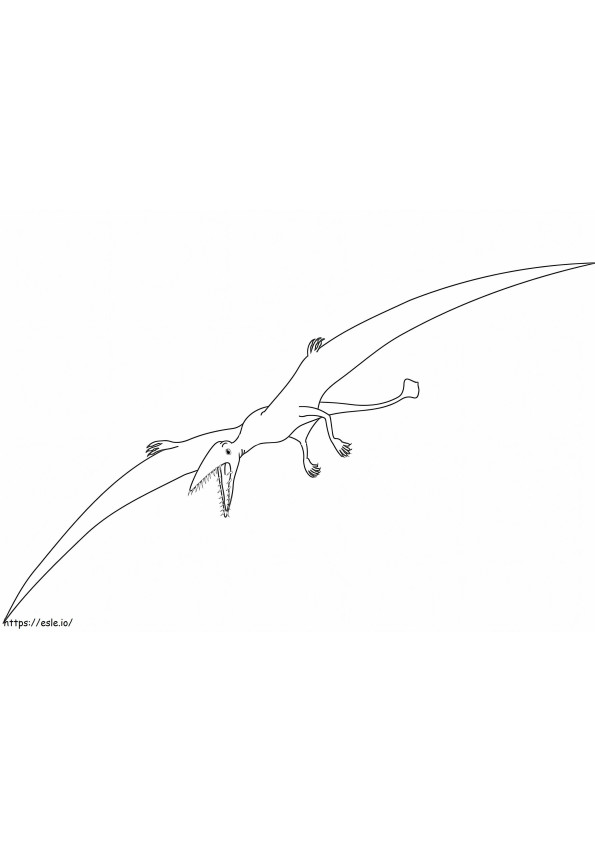Coloriage Dinosaure ptérodactyle à imprimer dessin