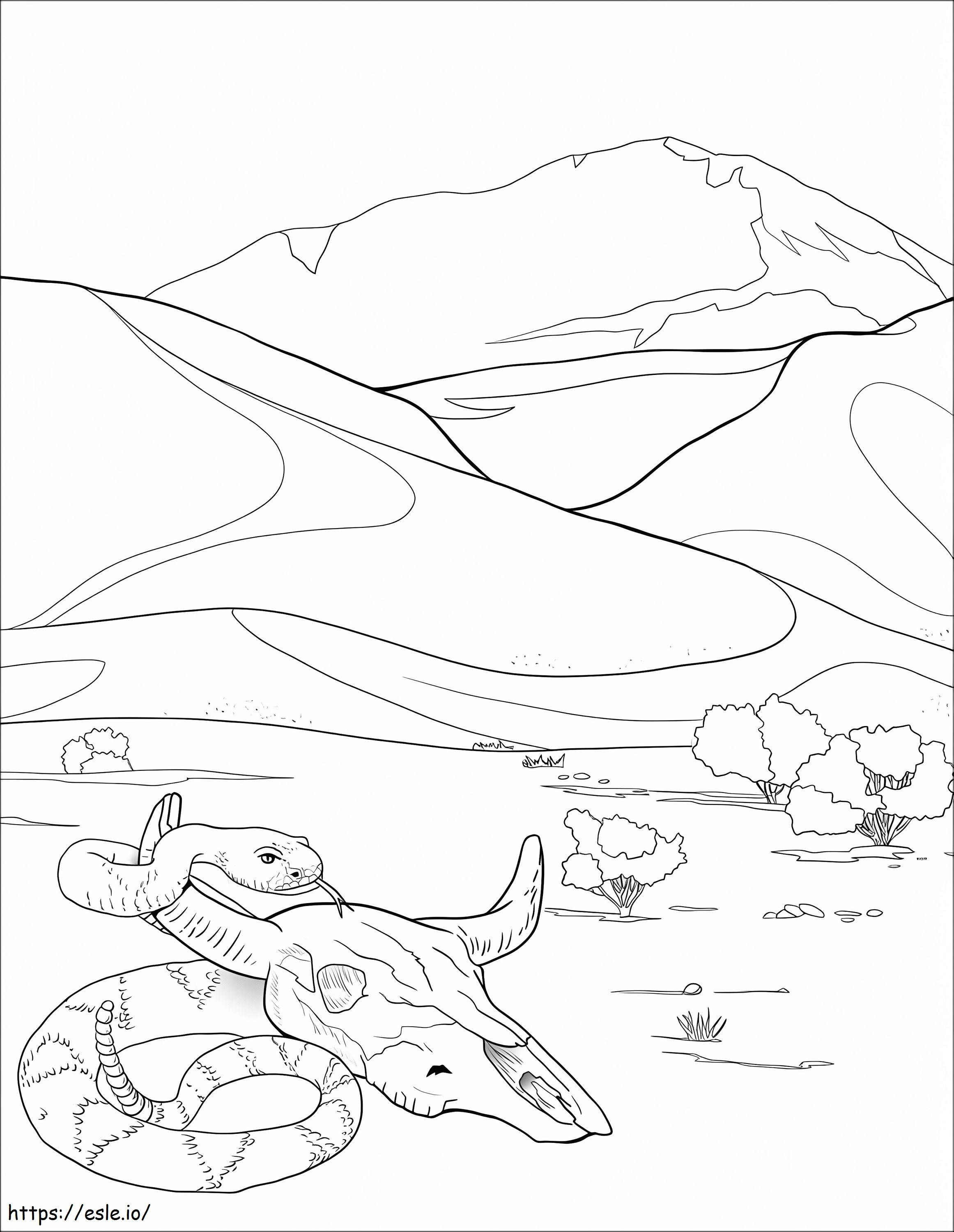 Death Valley National Park coloring page