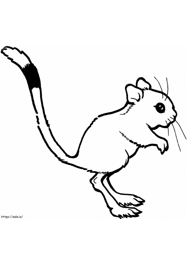 Rato Canguru Imprimível para colorir