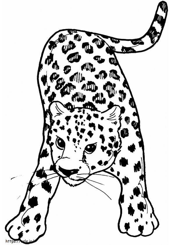 Leopard Tulostettava värityskuva