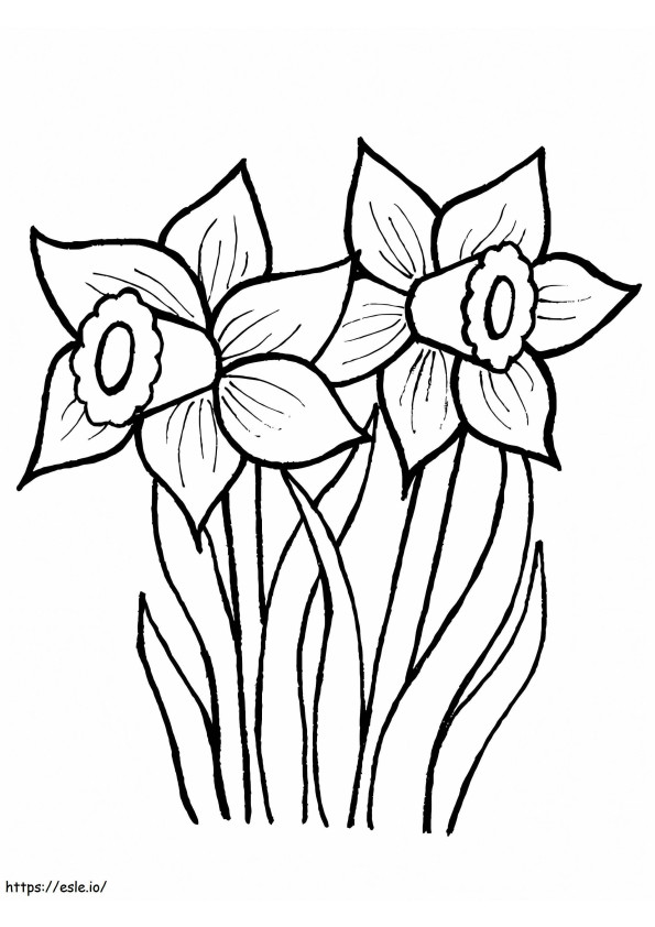 Of Daffodils coloring page