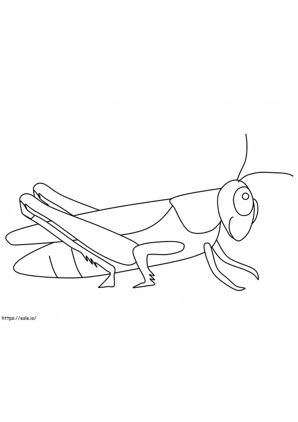 Amazing Grasshopper coloring page