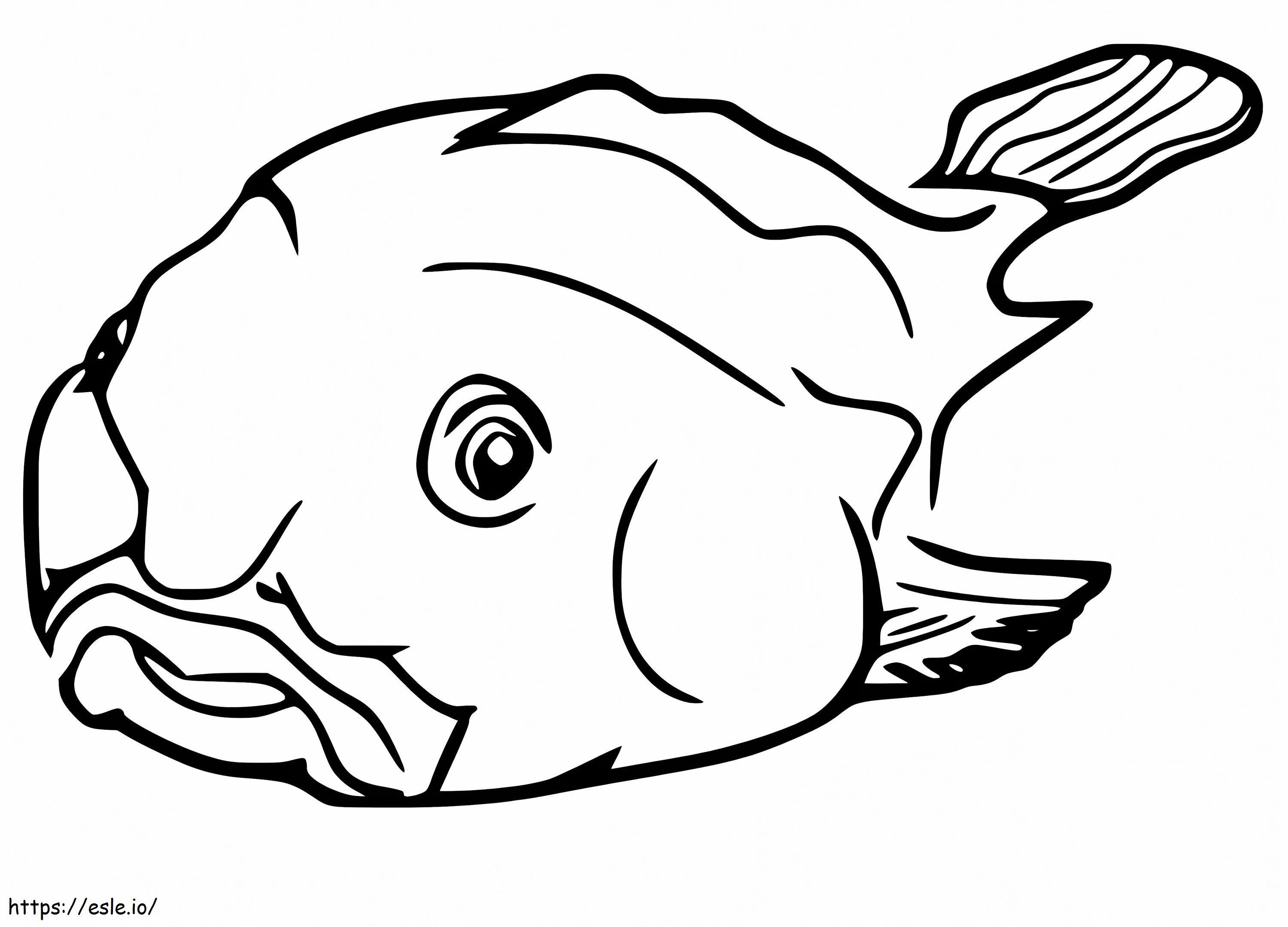 Blobfish jelek Gambar Mewarnai