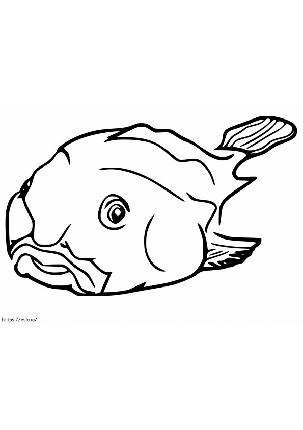Csúnya Blobfish kifestő