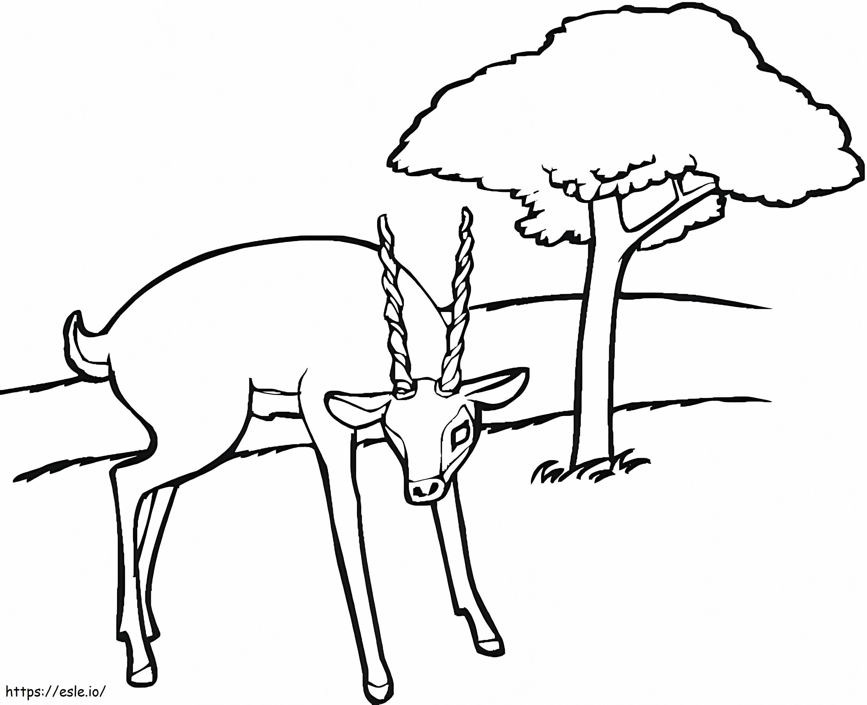 Coloriage Antilope dans la forêt à imprimer dessin