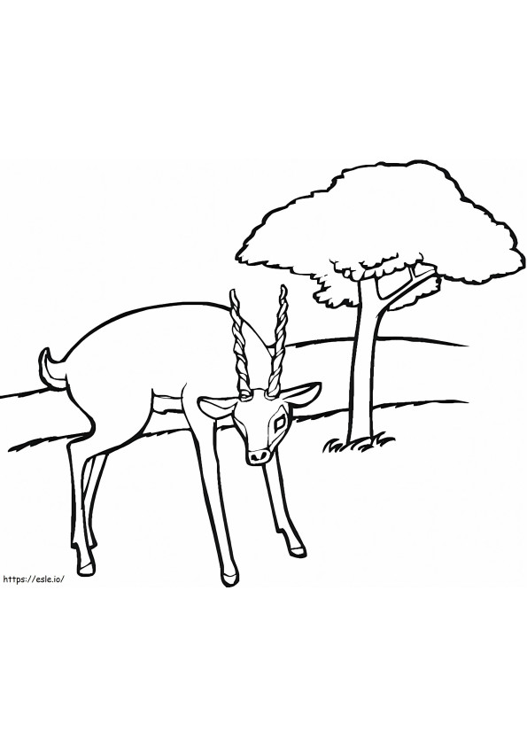 Antelope In The Forest coloring page