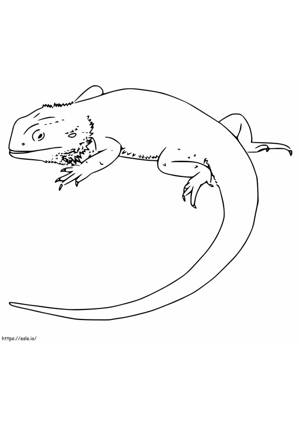 Easy Bearded Dragon coloring page