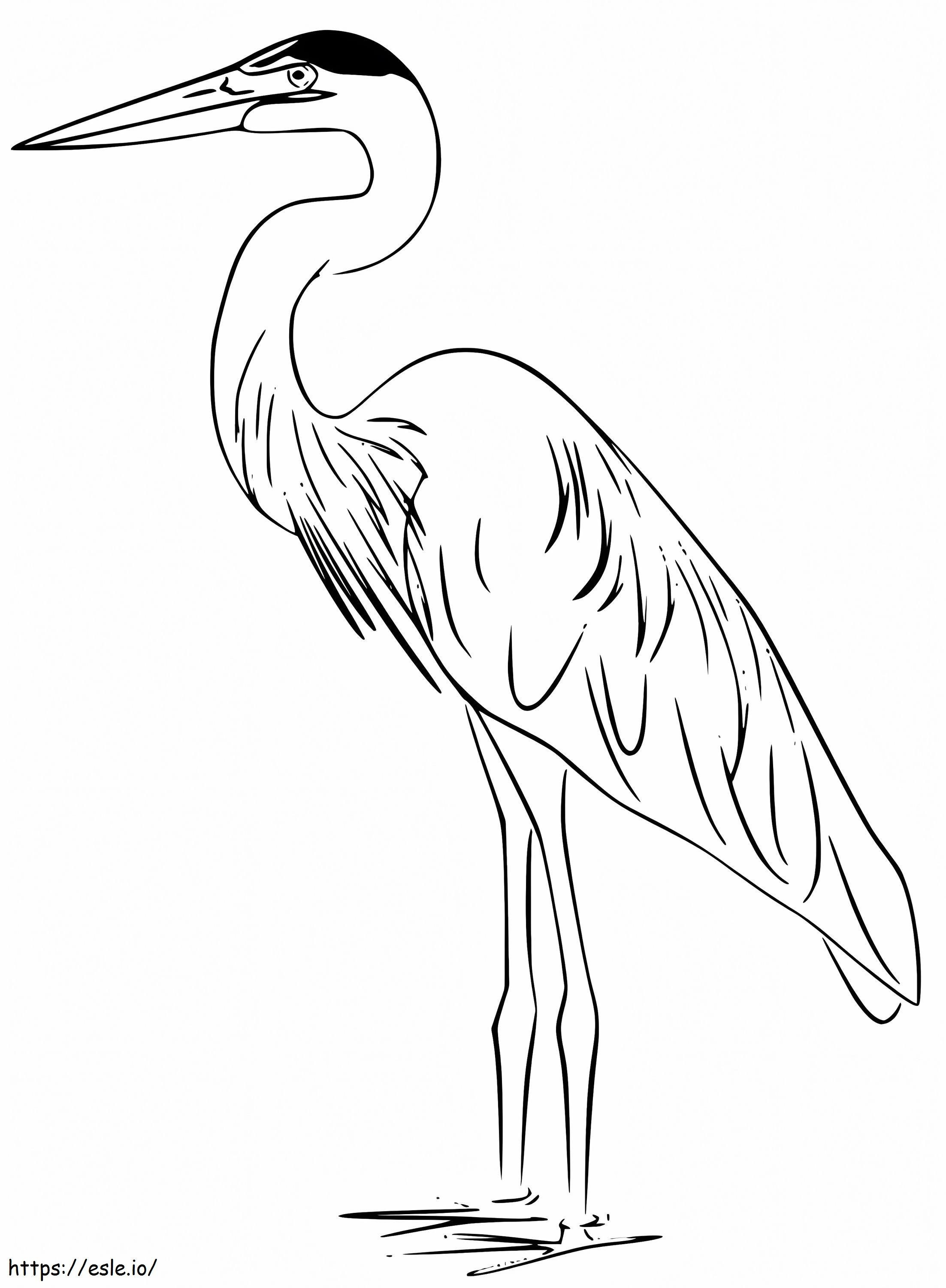 Heron Printable coloring page