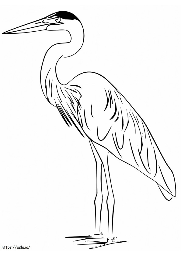 Heron Nyomtatható kifestő