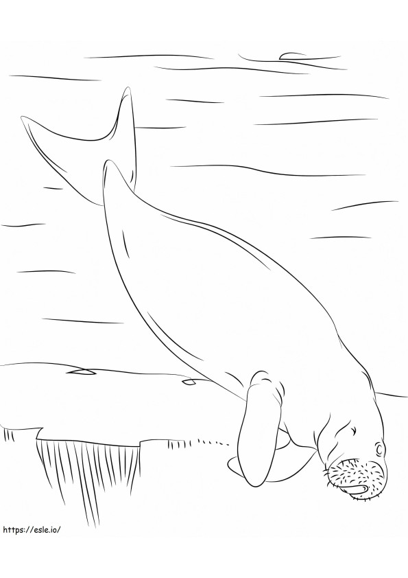 Dugong Swimming coloring page
