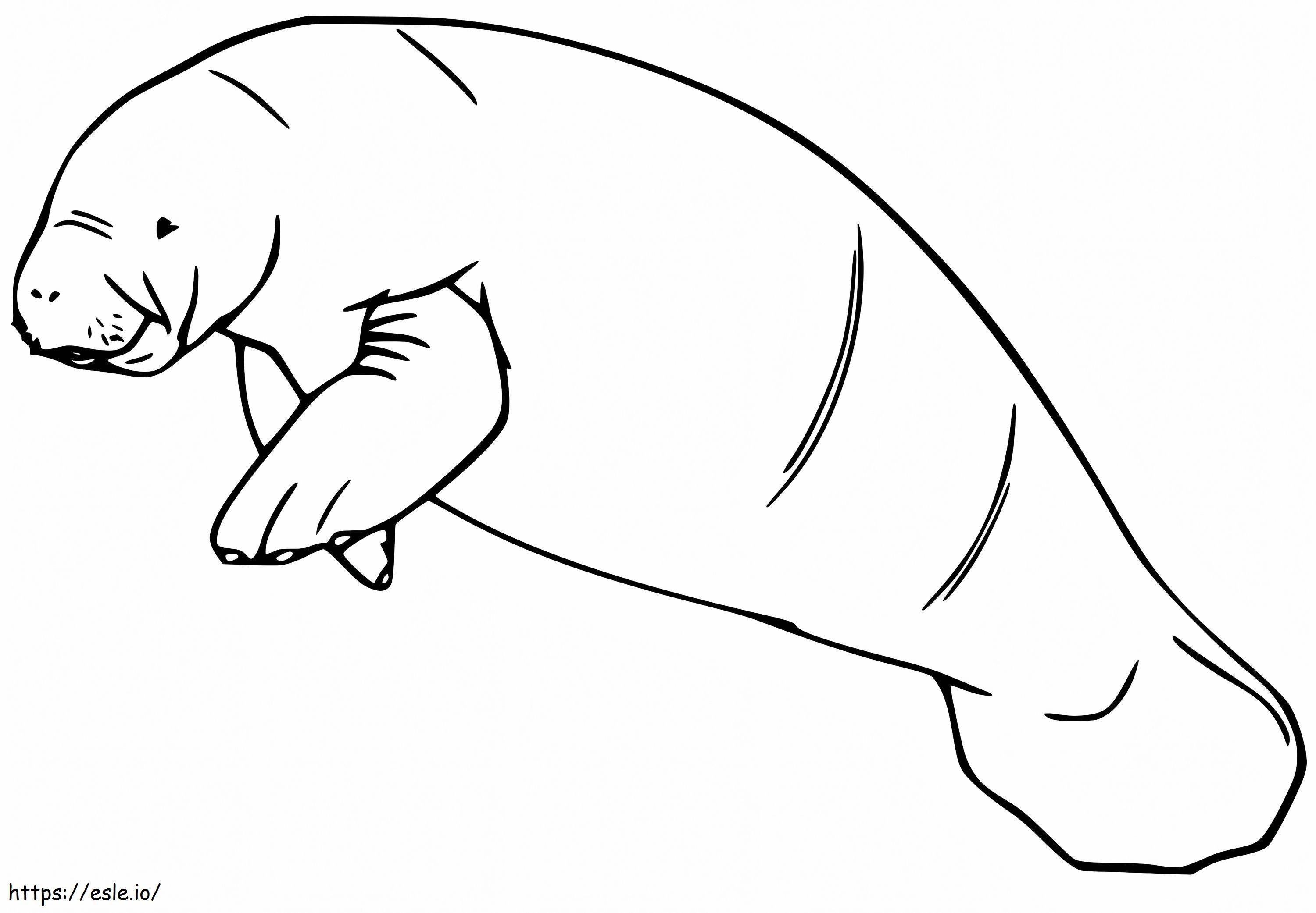 West African Manatee coloring page