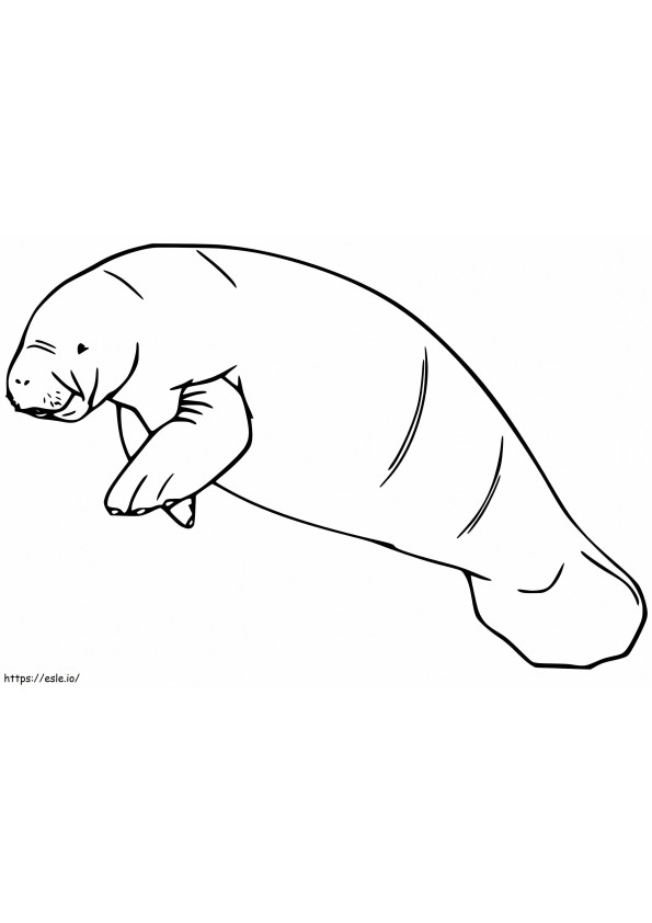 West African Manatee coloring page