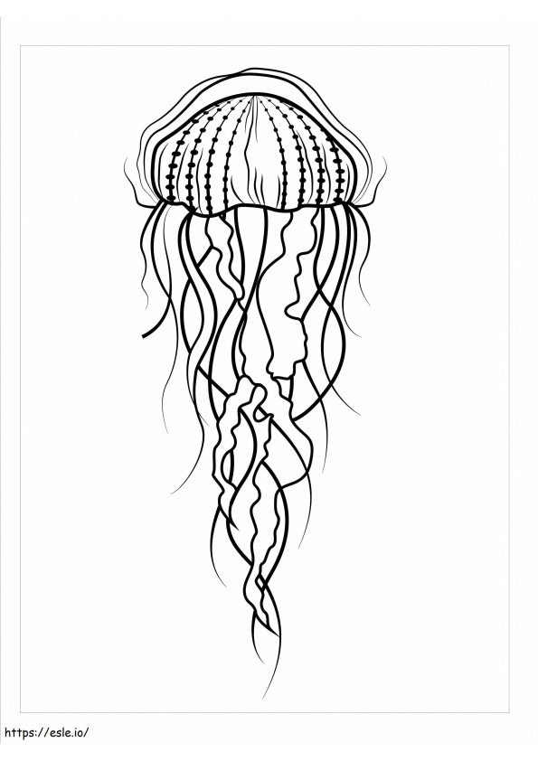 Luna de las medusas para colorear
