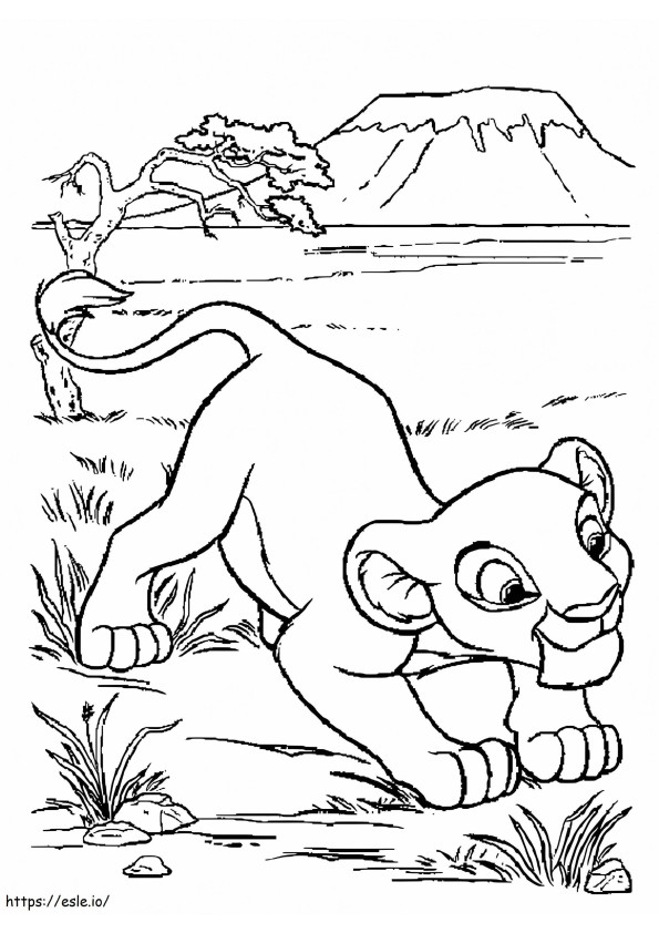 Netter Simba