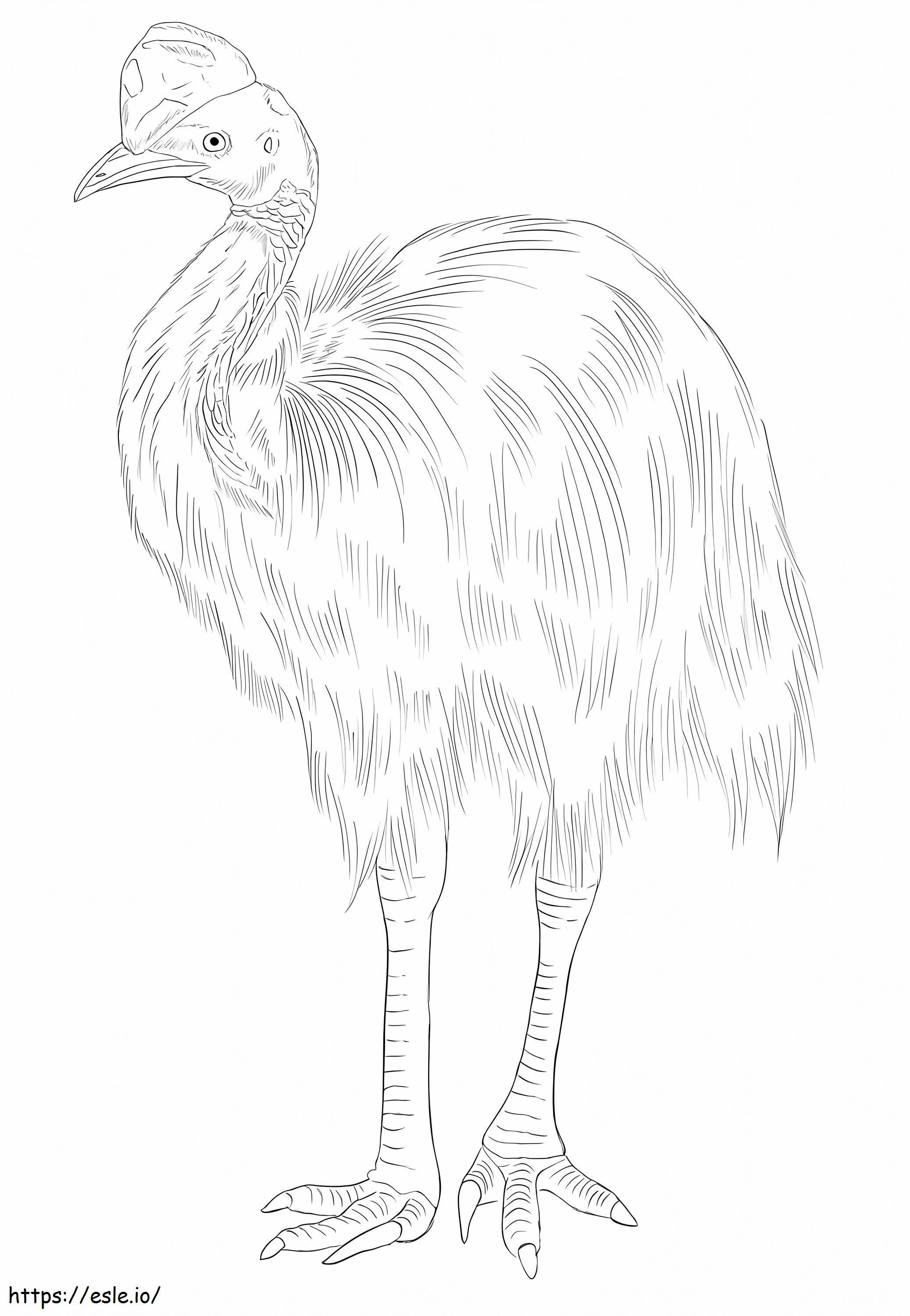 Northern Cassowary coloring page