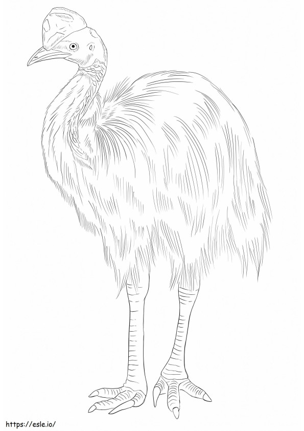 Northern Cassowary coloring page