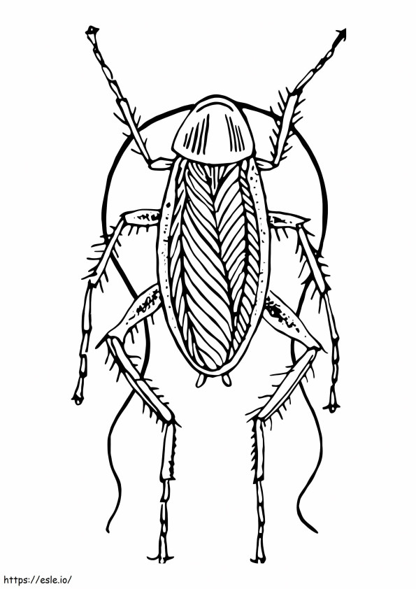 Dirty Cockroach coloring page