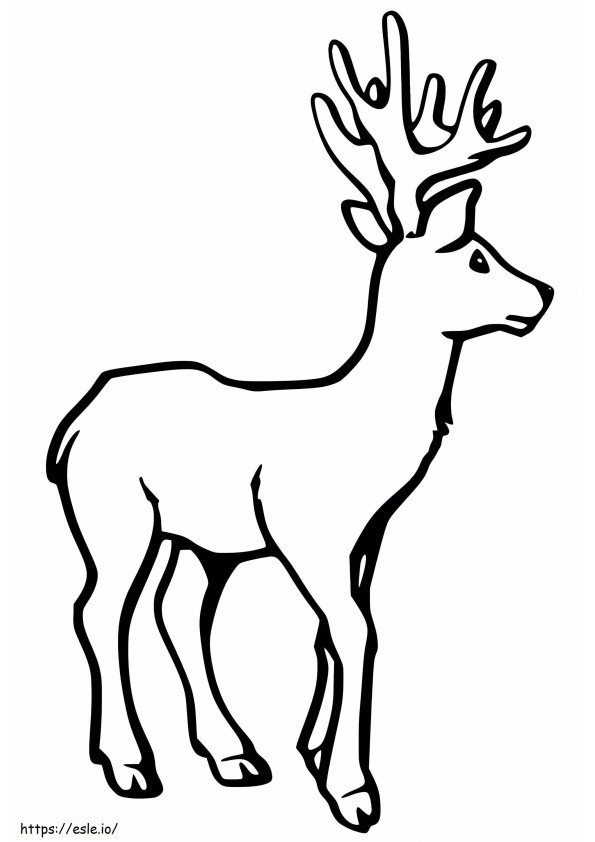 Free Red Deer coloring page