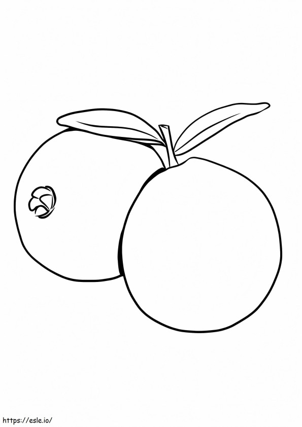 Zwei einfache Guaven ausmalbilder