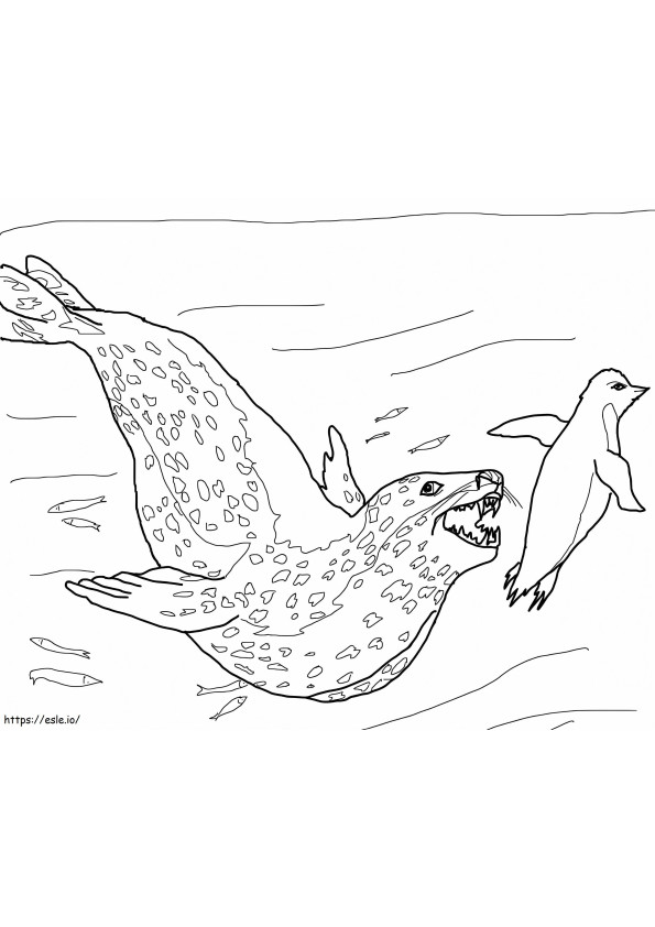 La foca caccia il pinguino da colorare