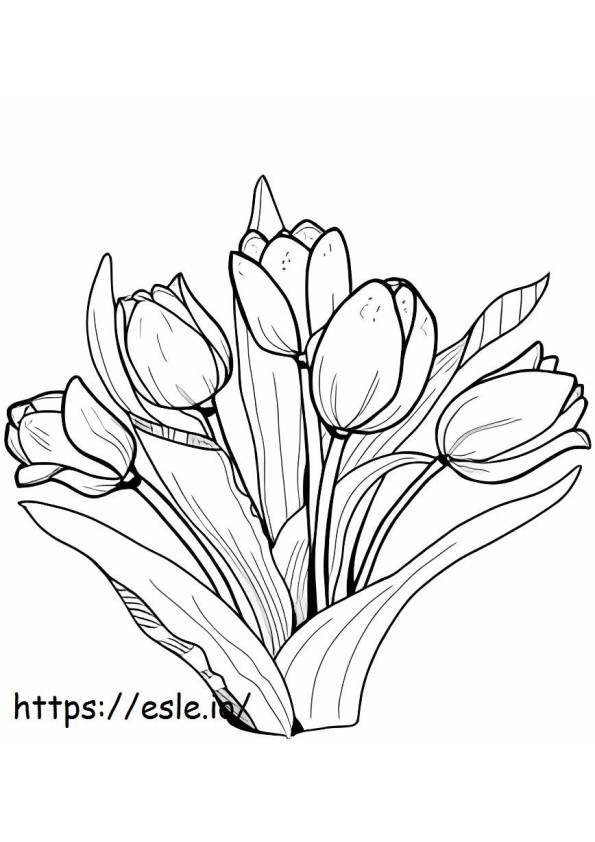 Tulipa deslumbrante para colorir