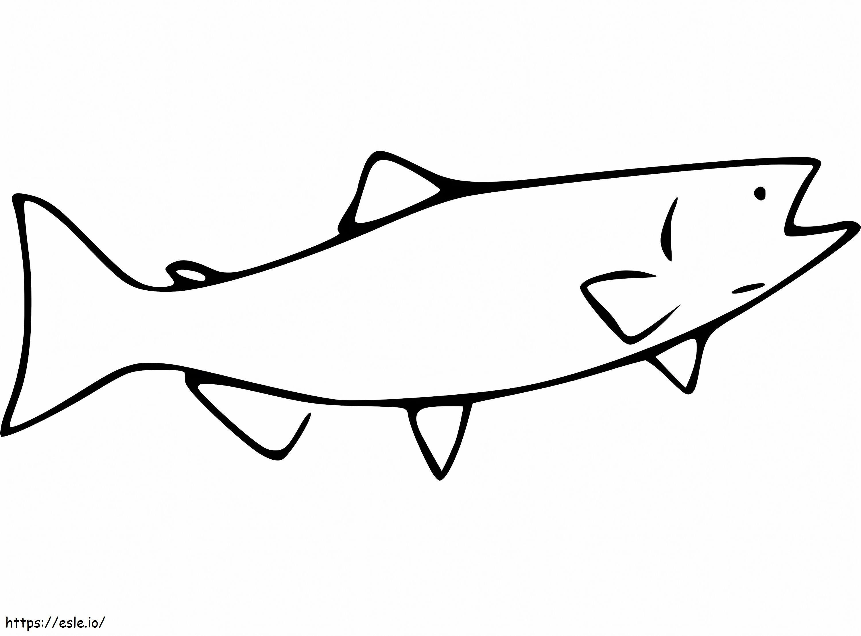 ikan salmon sederhana Gambar Mewarnai