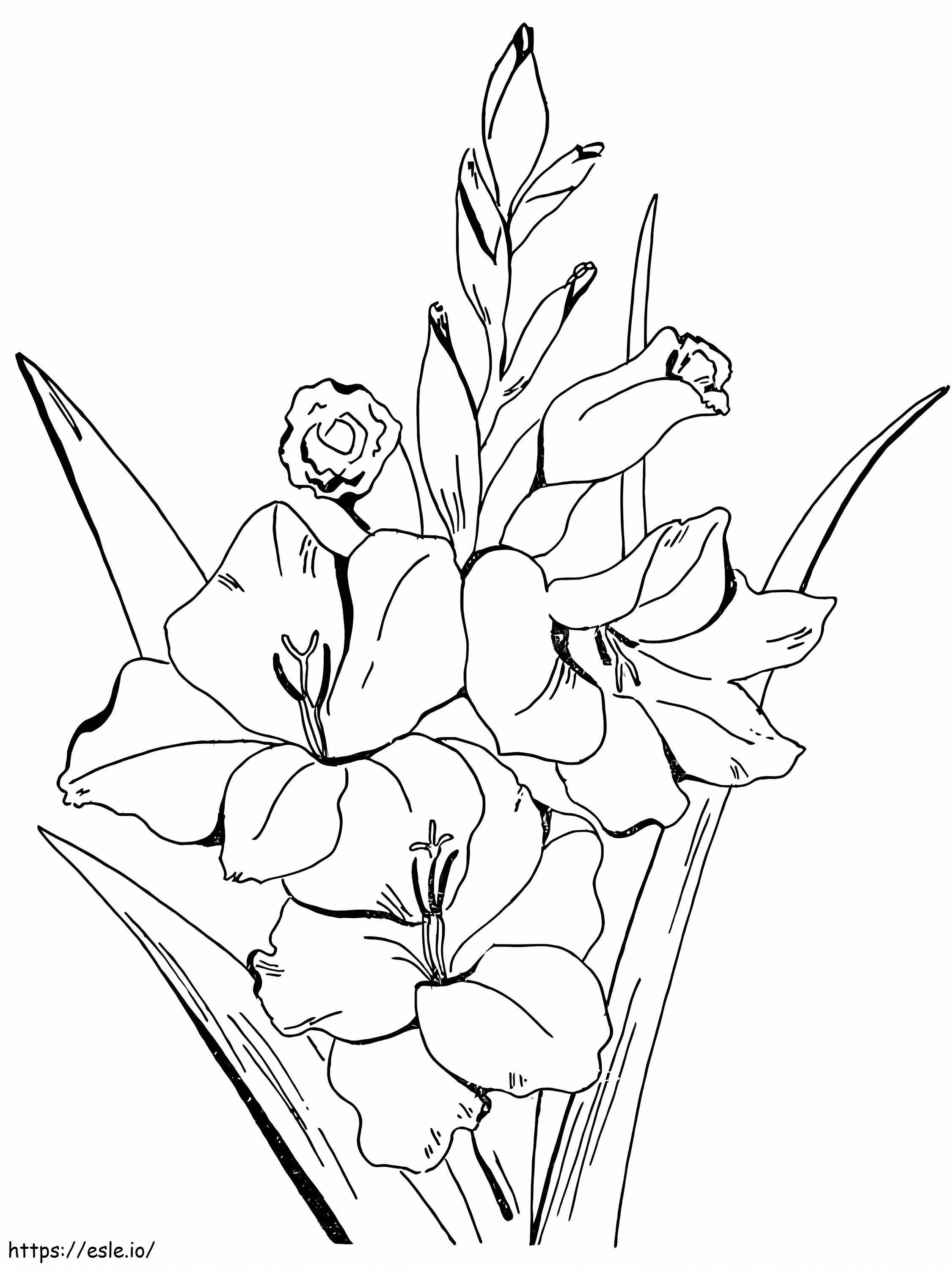 Gladiolenbloemen 2 kleurplaat kleurplaat