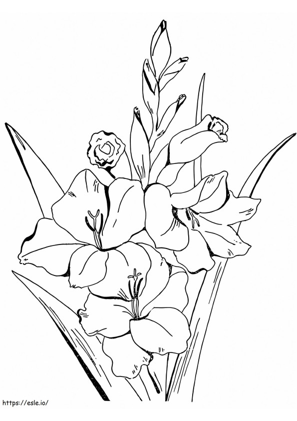 Flori de gladiola 2 de colorat