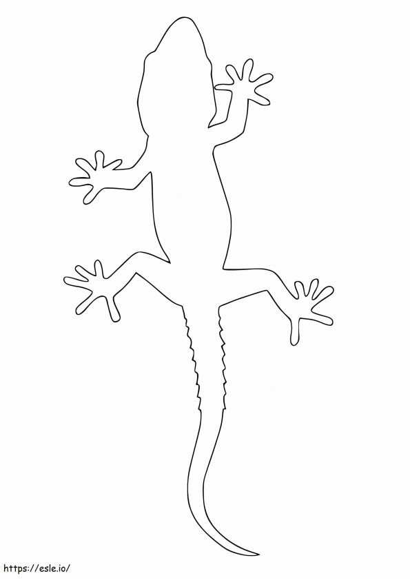 Coloriage Contour Gecko à imprimer dessin