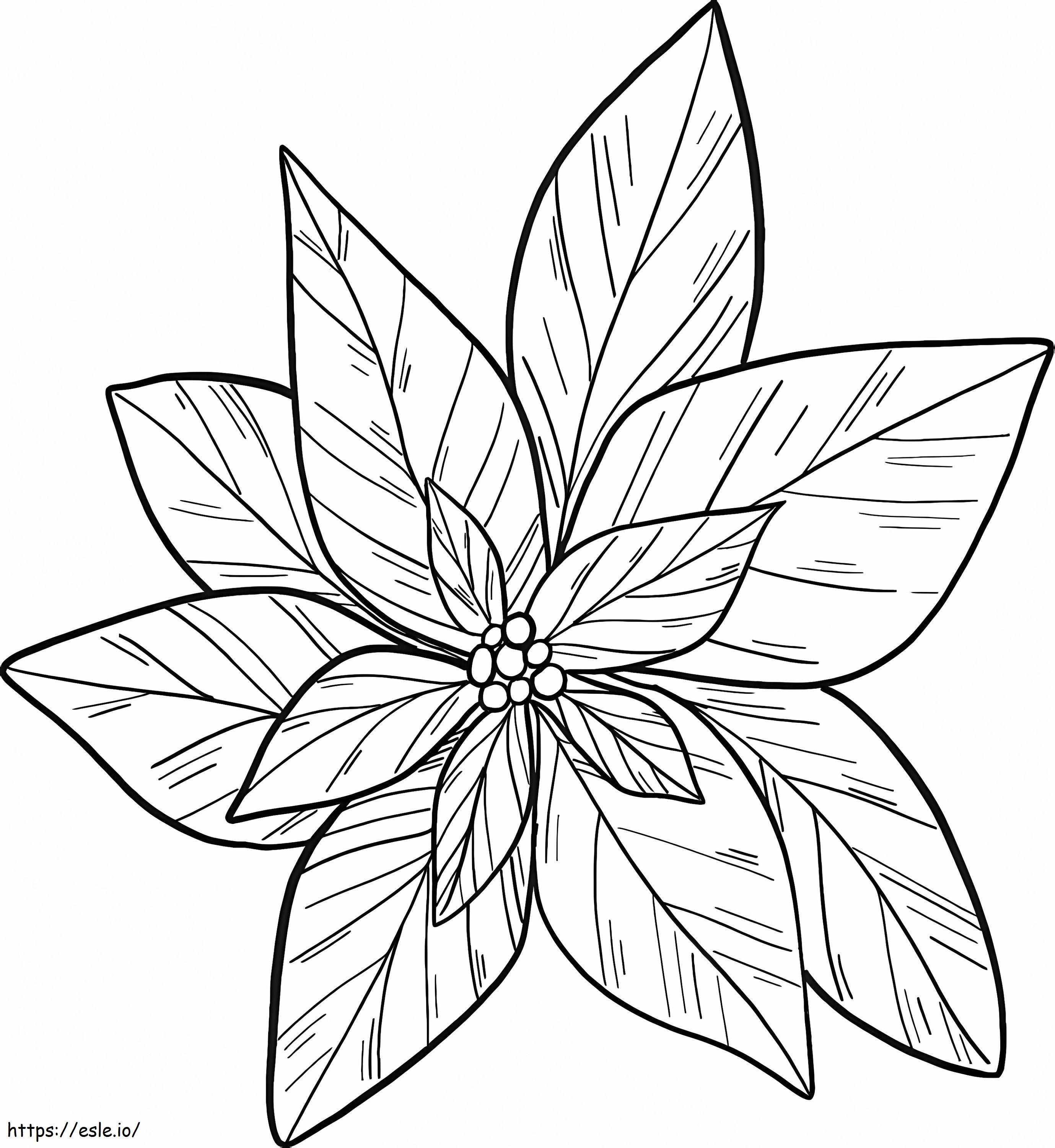 Poinsettia Flower To Color coloring page