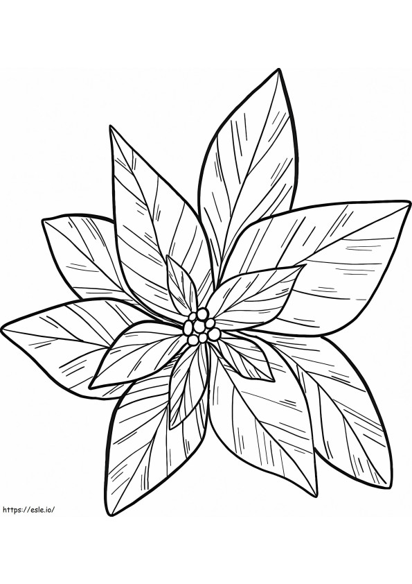 Poinsettia Flower To Color coloring page