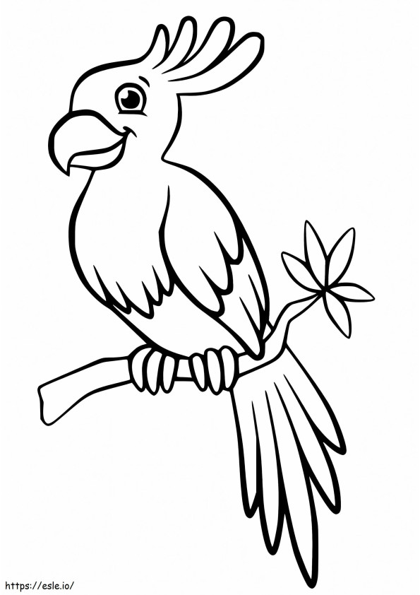 tarçınlı Sultan papağanı boyama