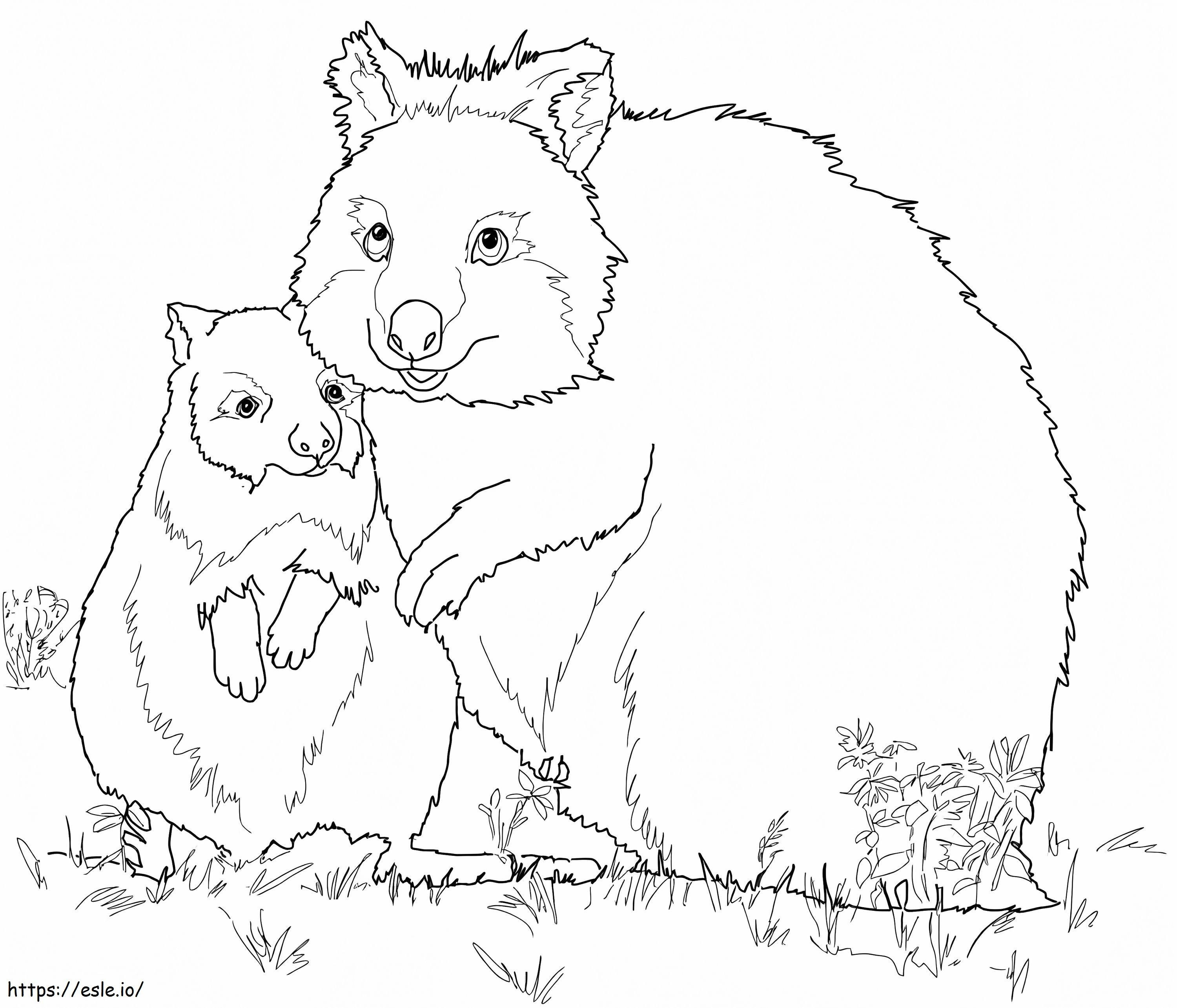 Mother And Baby Quokka coloring page