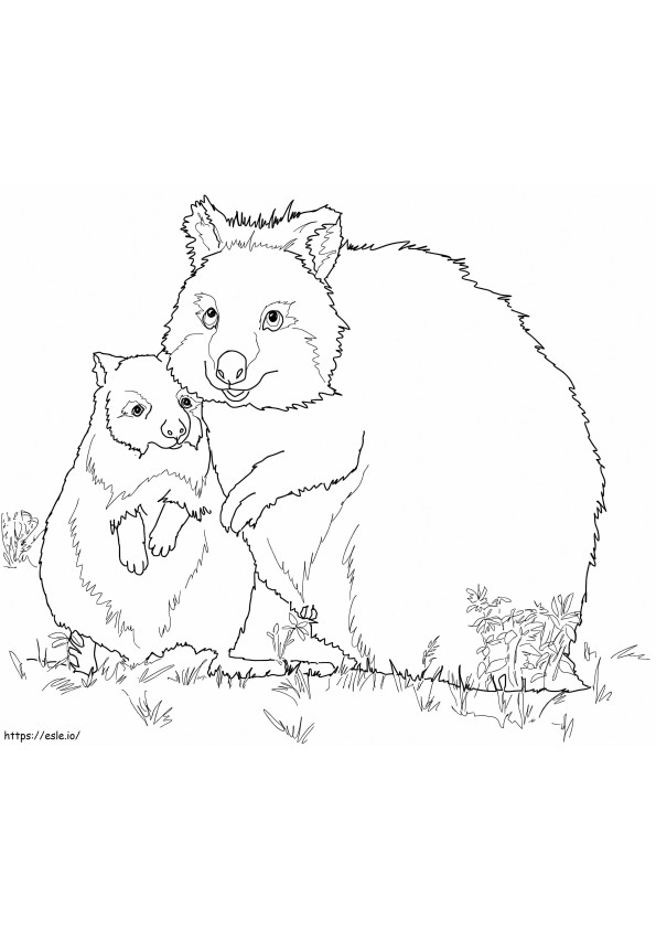 Coloriage Mère et bébé Quokka à imprimer dessin