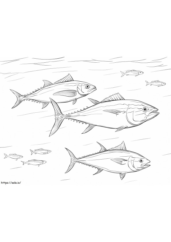 Pazifischer Blauflossen-Thunfischschwarm ausmalbilder
