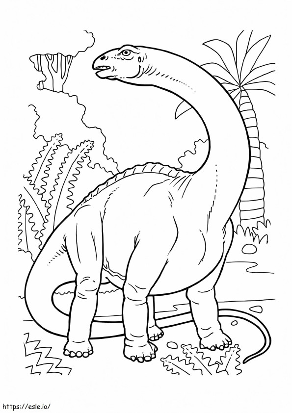 Dino Catrak