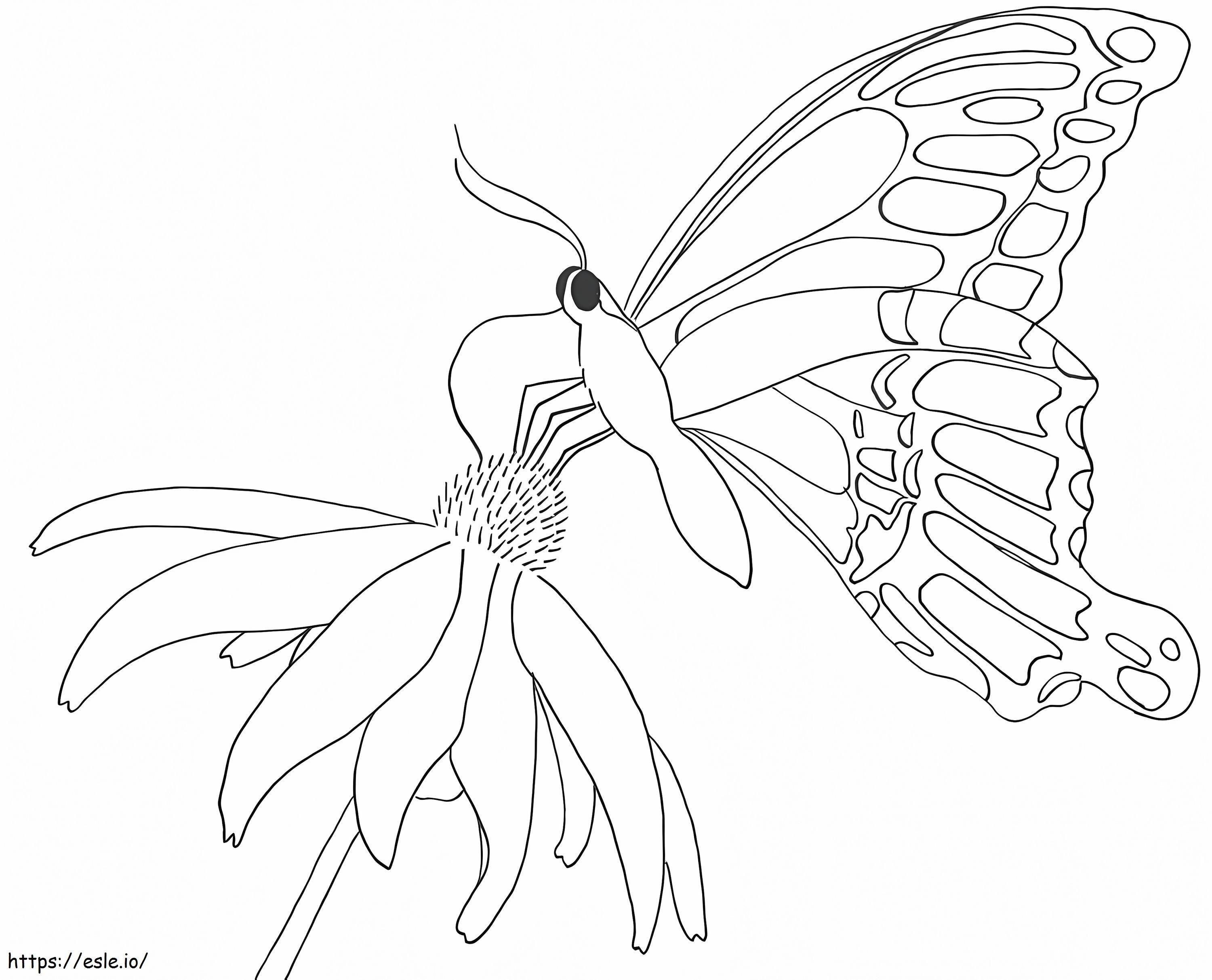 Butterfly On Daisy coloring page