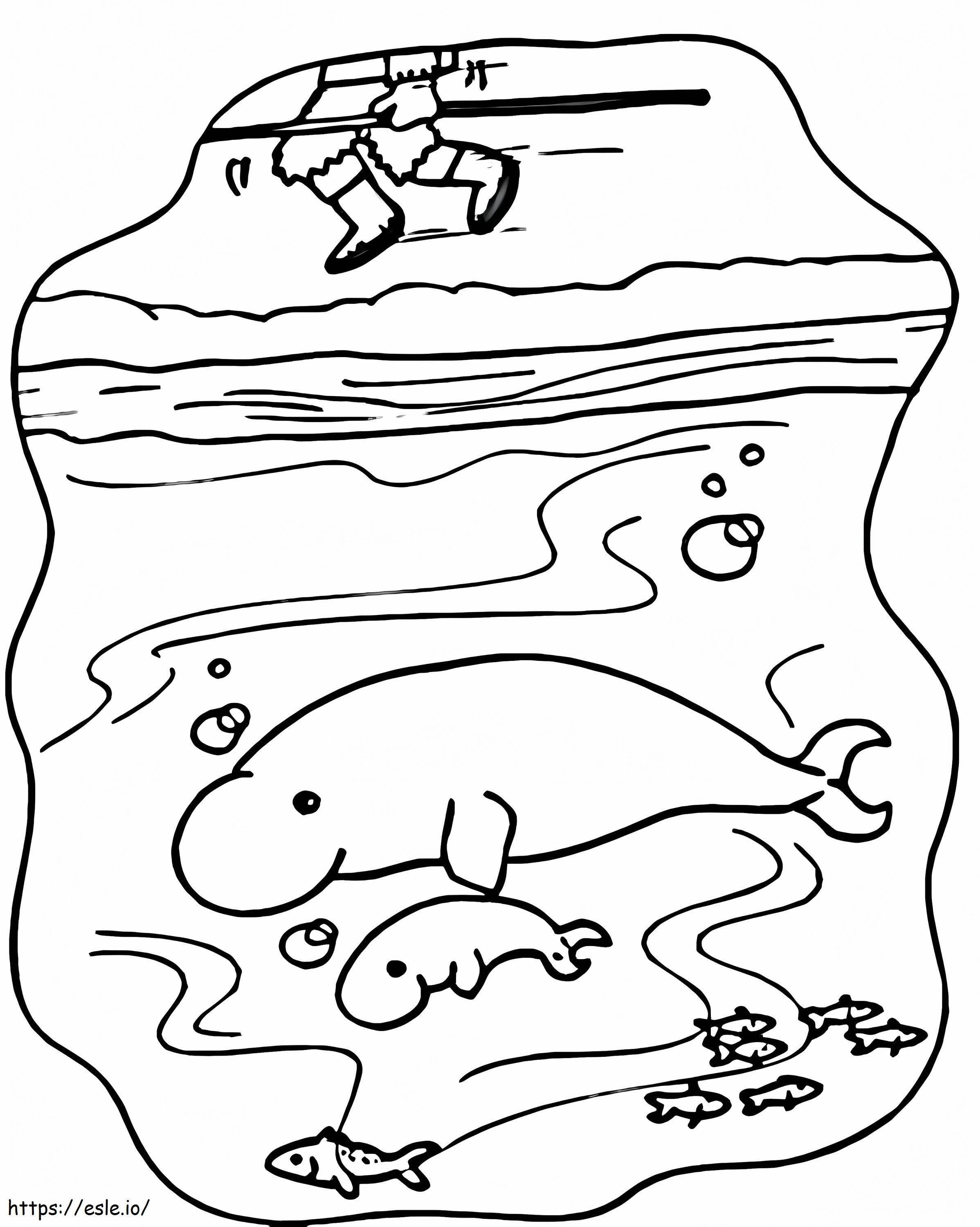 Mama și puiul de lamantin înotând de colorat