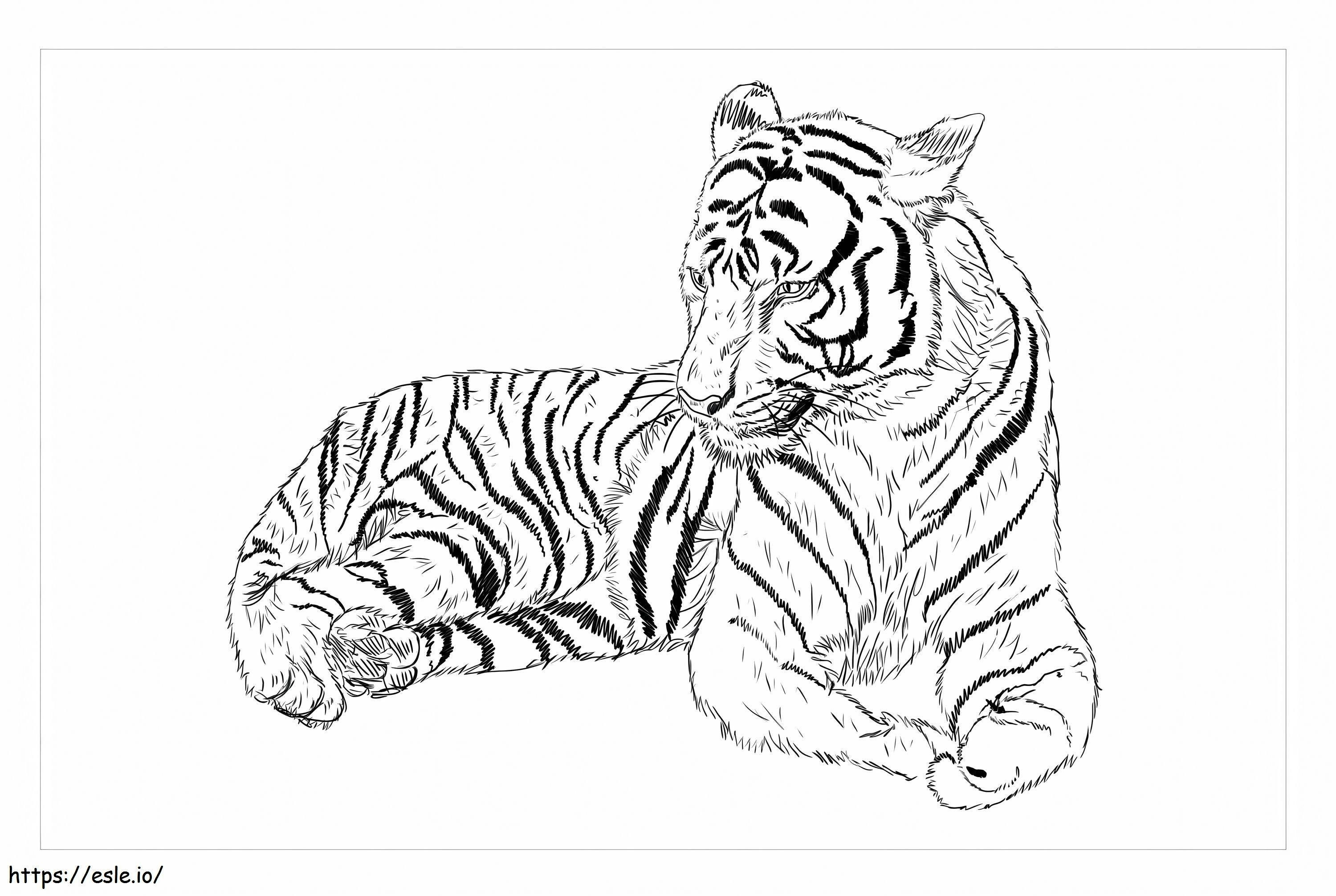 Tigre della Cina meridionale da colorare