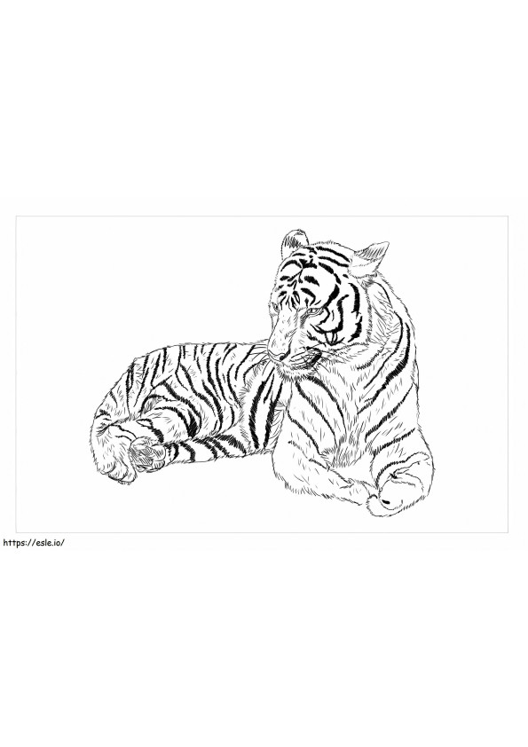 Coloriage Tigre de Chine méridionale à imprimer dessin