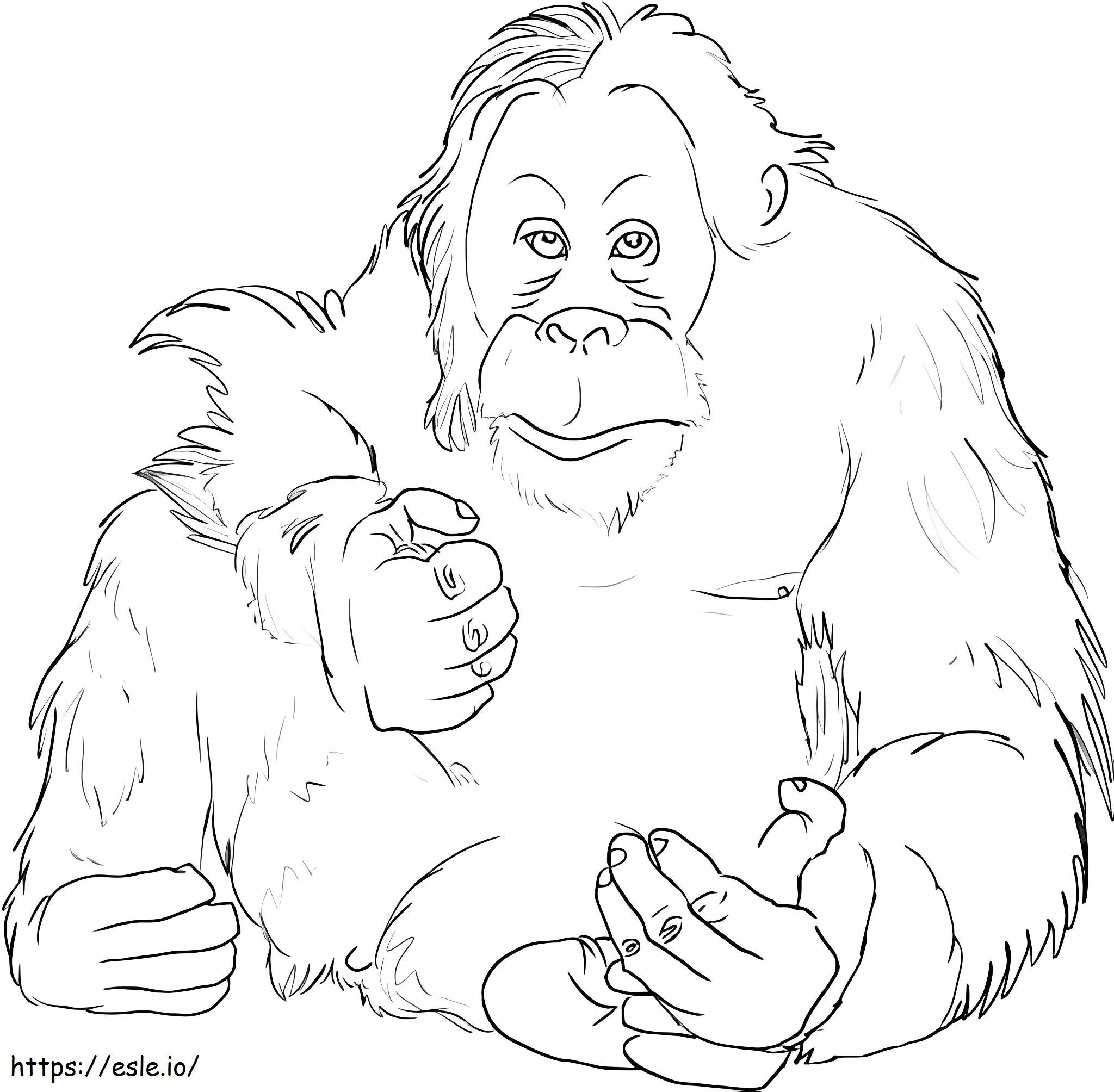 Orangutan Hormon Gambar Mewarnai
