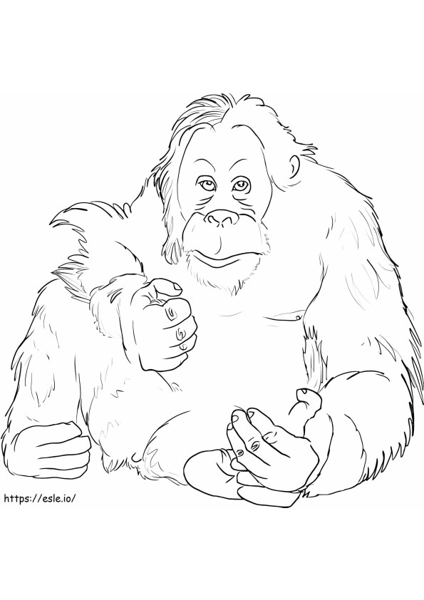 Orangutan Hormon Gambar Mewarnai