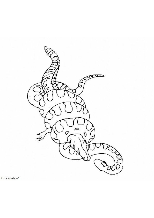Coloriage Anaconda contre. Crocodile à imprimer dessin