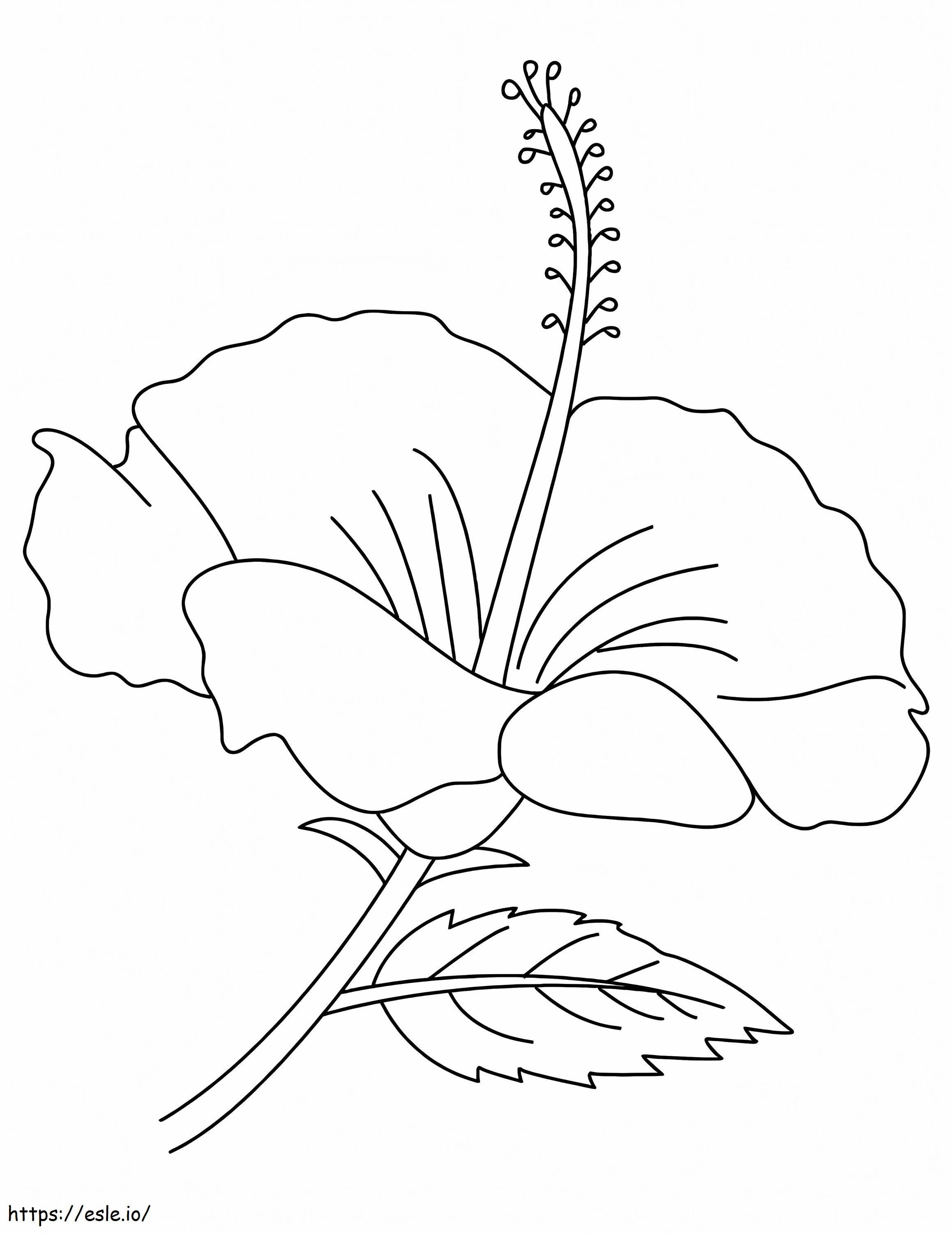 Floarea de hibiscus 3 de colorat