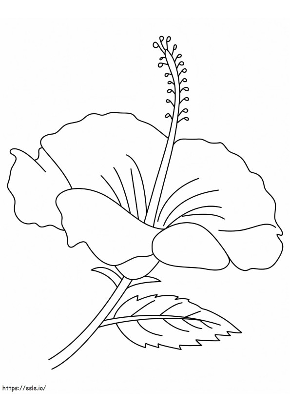 ハイビスカスの花 3 ぬりえ - 塗り絵