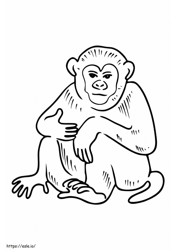 Awesome Monkey coloring page
