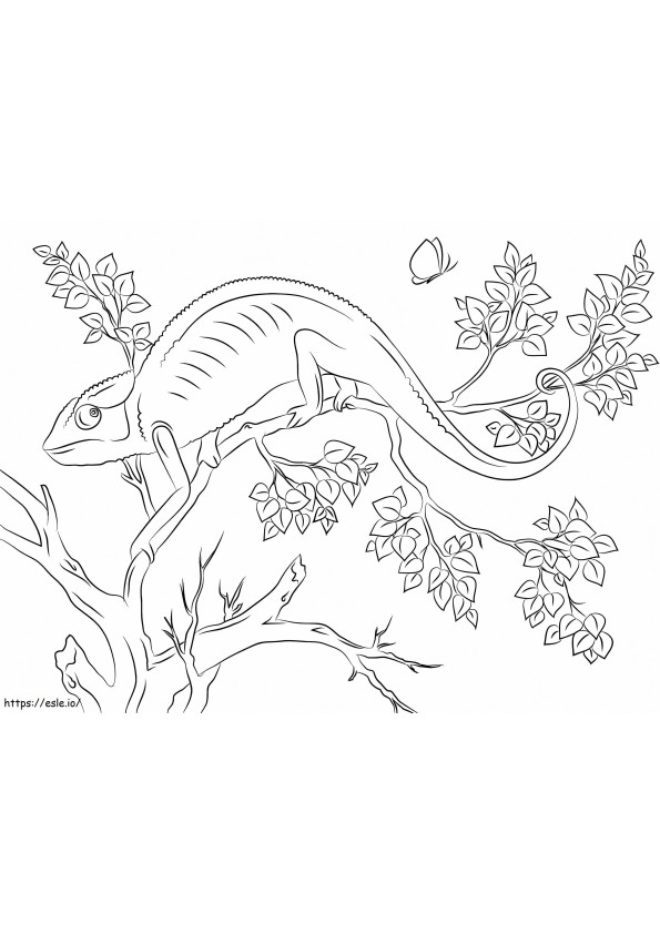 Adorable Cameleon coloring page