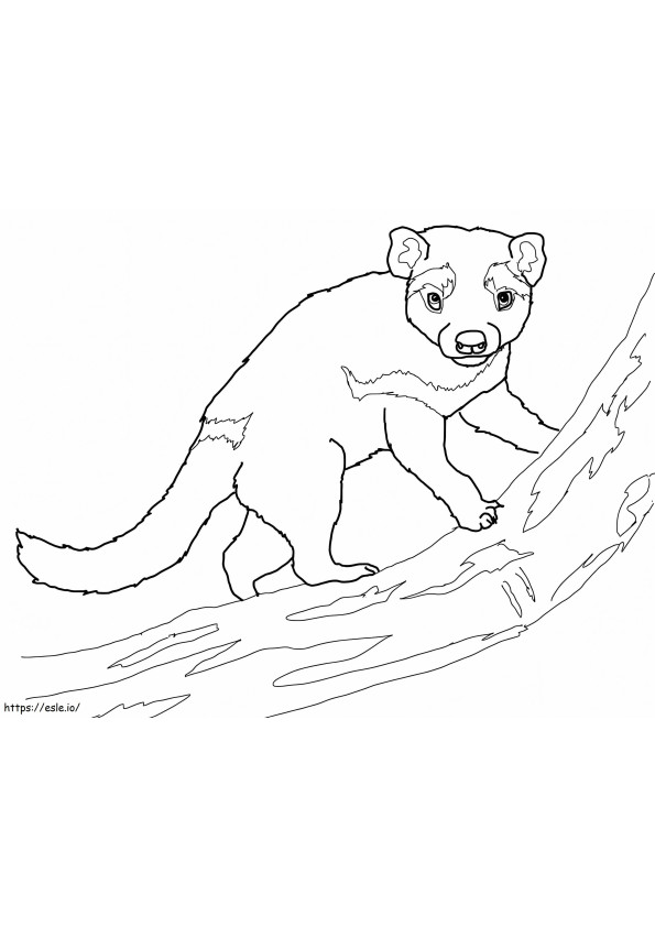 Coloriage Diable de Tasmanie sur Branch à imprimer dessin